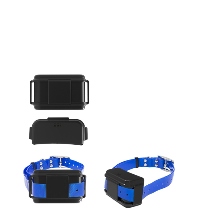 G11B 4G+2G - Image 3