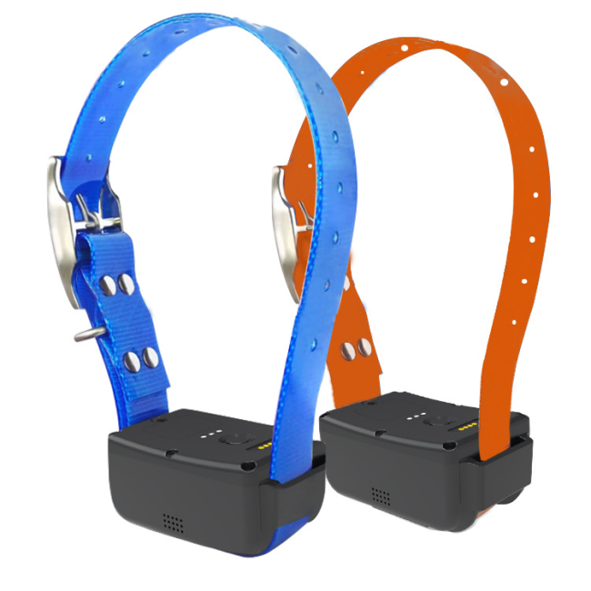 G11B 4G+2G - Image 6